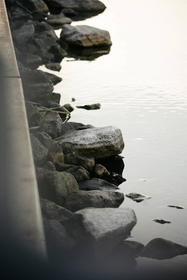 136 Comanche Trail, Delhi, LA 71232 - photo 6