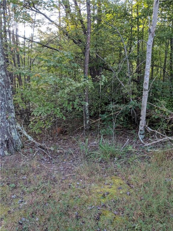 Land is mostly wooded