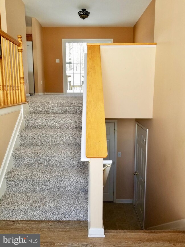 344 Leviticus Dr, Bunker Hill, WV 25413 - photo 4