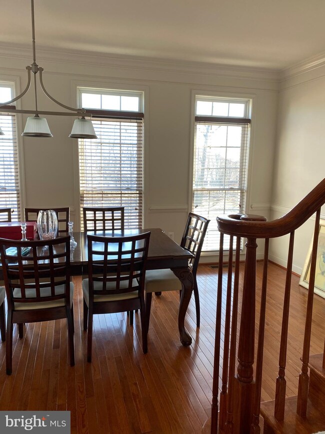 25842 Turlough Terrace, Chantilly, VA 20152 - photo 5