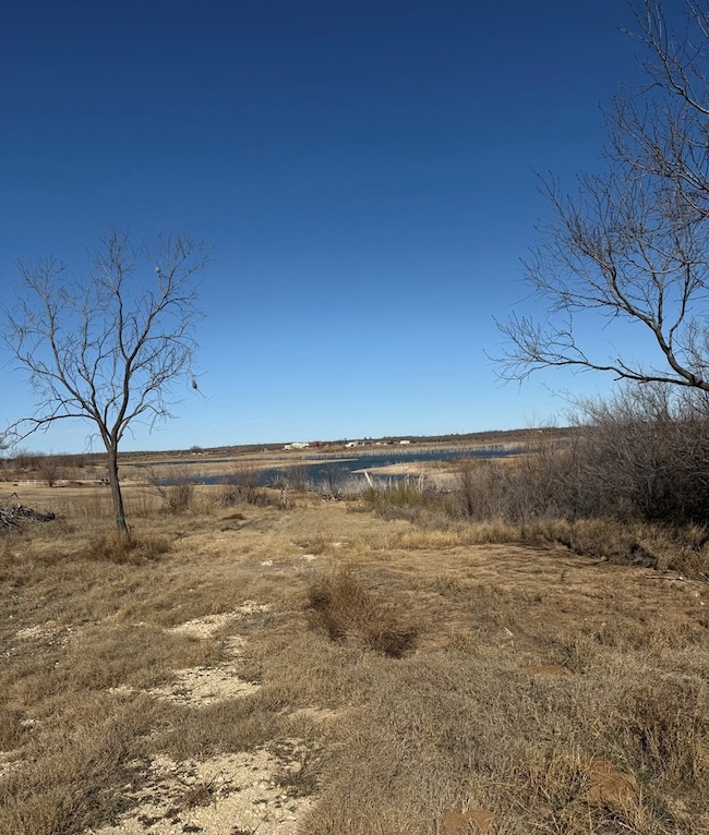 0 Lcr 175 unit 5105, Colorado City, TX 79512 - photo 4