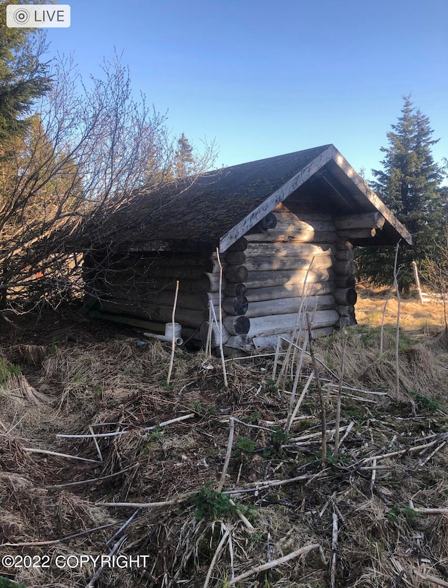 65300 Corabin Rd, Anchor Point, AK 99556 - photo 6