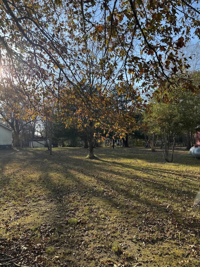 0 Cates Dr, Guntown, MS 38849 - photo 2