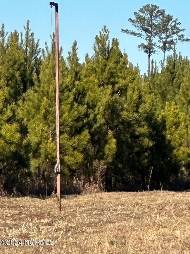 Pineridge11