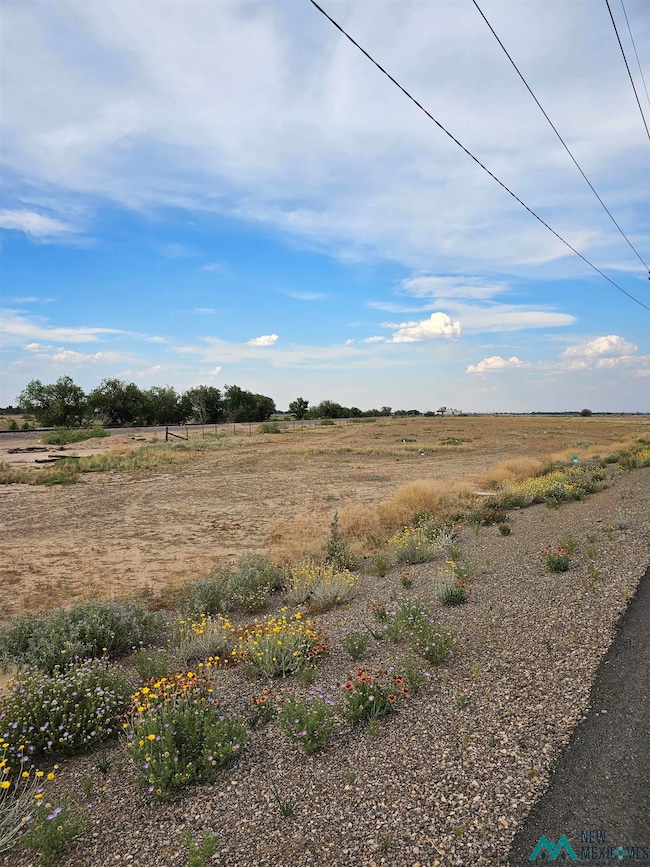 00 E Hobson Rd, Roswell, NM 88203 - photo 2