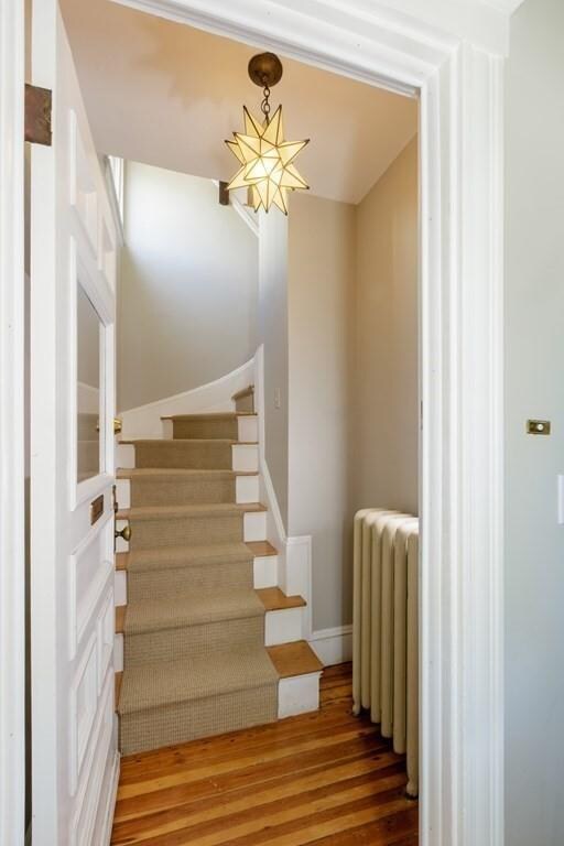 135 Fresh Pond Pkwy unit 2, Cambridge, MA 02138 - photo 3