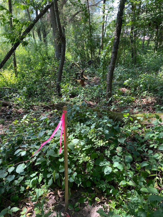 2421 Old Hobart Rd, Lake Station, IN 46405 - photo 4