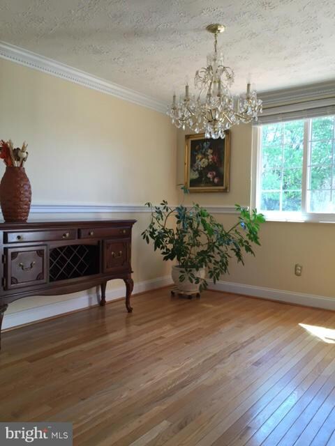 5549 Hecate Ct, Fairfax, VA 22032 - photo 3