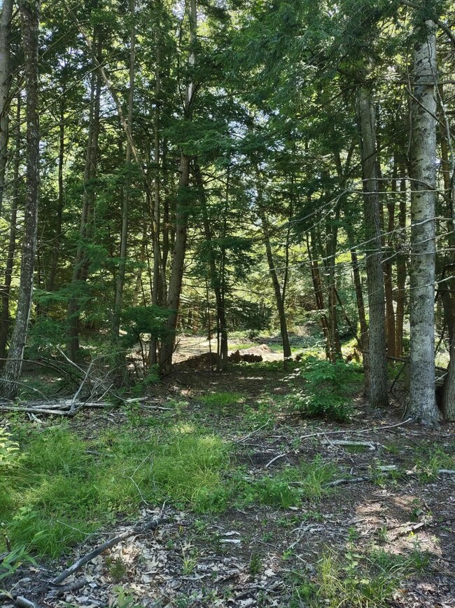 55 Mine Rd unit 17-1-1, Winchester, NH 03470 - photo 2