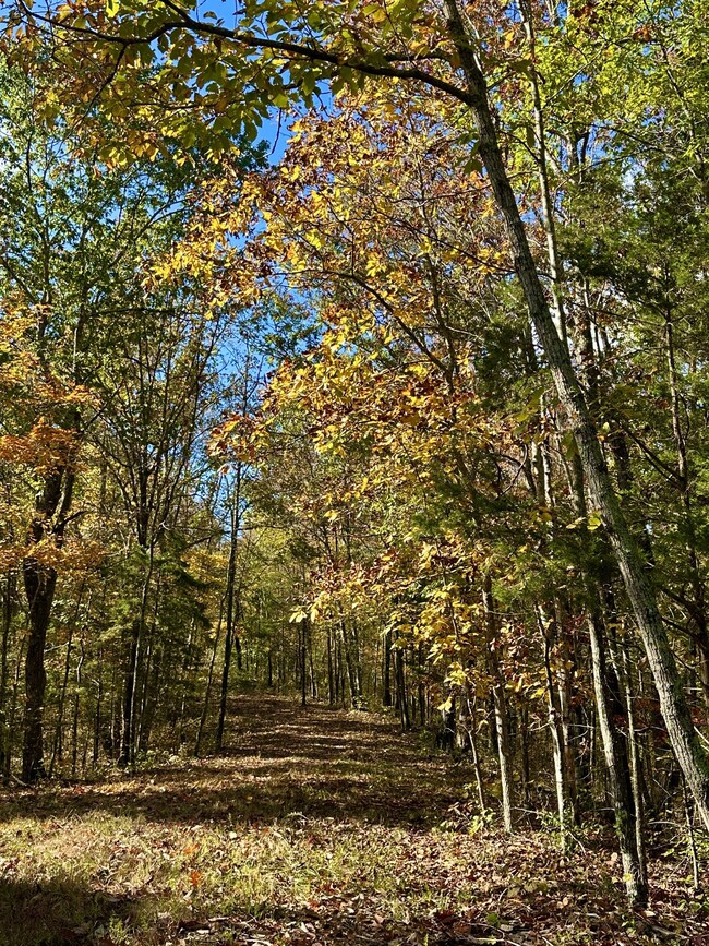 0 Rock Springs Rd unit RTC3049750, Celina, TN 38551 - photo 7