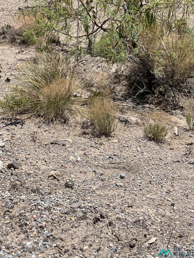 100 Idaho Ct, Elephant Butte, NM 87935 - photo 3