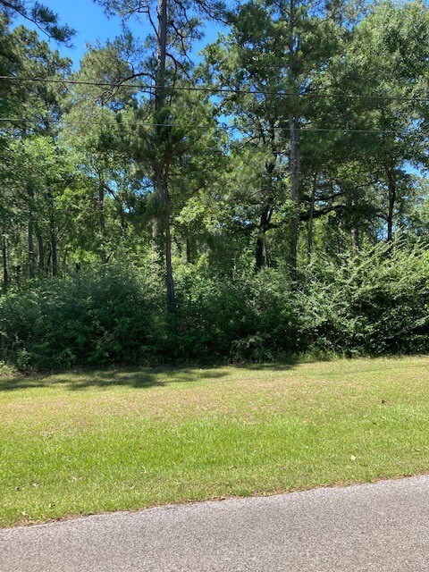 TBD Forest Trail, Hockley, TX 77447 - photo 4