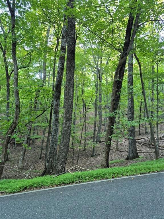 263 Wake Robin Dr, Big Canoe, GA 30143 - photo 2