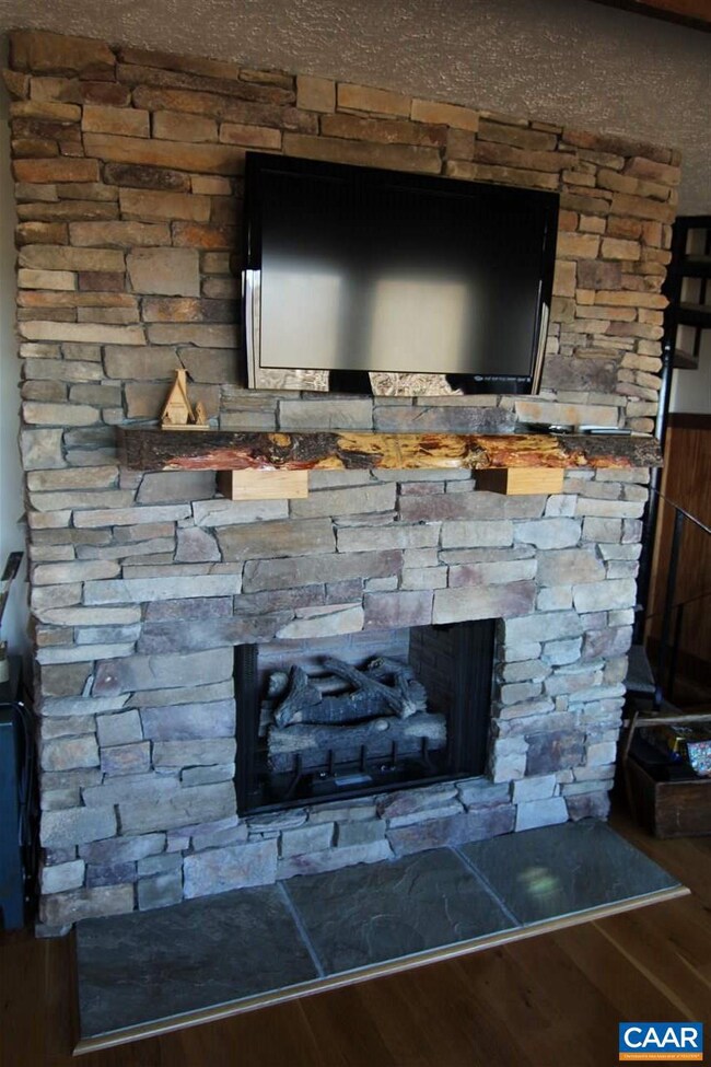 176 N Rock Tree Ln, Wintergreen Resort, VA 22967 - photo 7