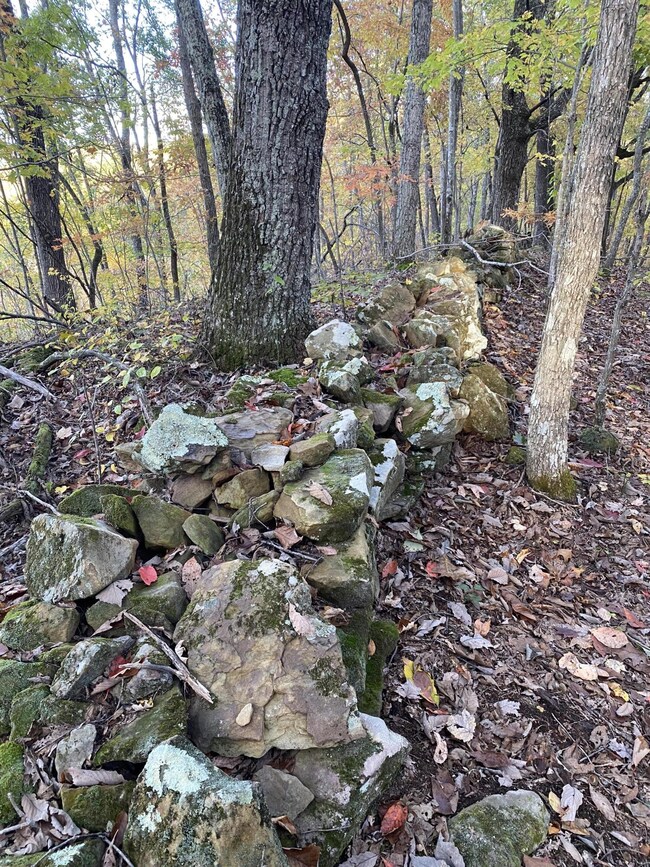 1880 Highway 1709, Tyner, KY 40486 - photo 7