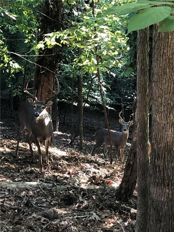 8665 Steeple Chase Dr, Roswell, GA 30076 - photo 7