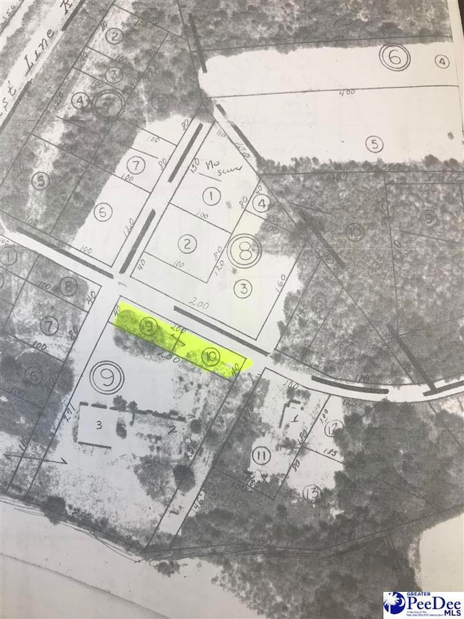 Lot 48 & 55 Willis St, Latta, SC 29565 - photo 2