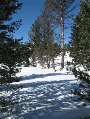 Lot 2 Sleeping Bear, Big Sky, MT 59716 - photo 7