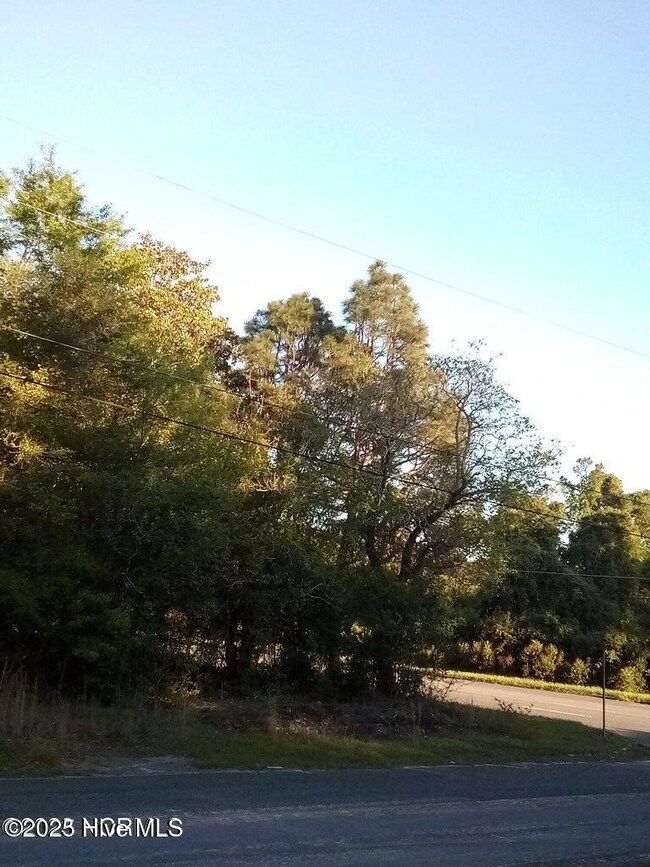 Tbd Hwy 74 E, Hamlet, NC 28345 - photo 5