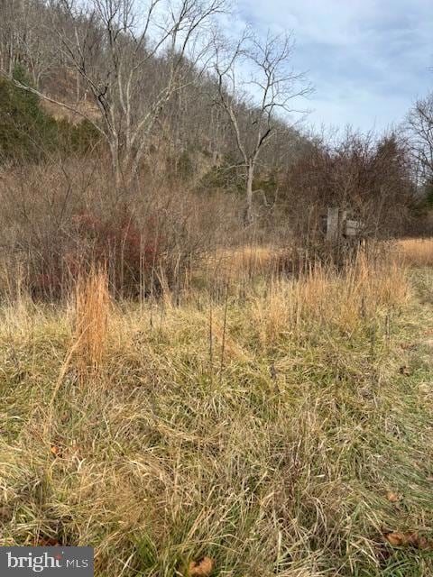 866 Wildlife Dr, Lost City, WV 26810 - photo 2