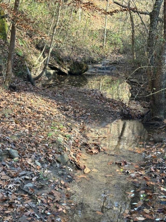 500 Beechmont Rd, Sandy Hook, KY 41171 - photo 3