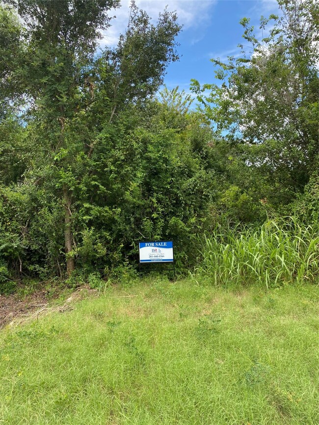 4800 Cr 89 Old Chocolate Bayou Rd, Manvel, TX 77578 - photo 5