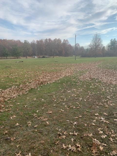 3774 Township Road 21, Marengo, OH 43334 - photo 4