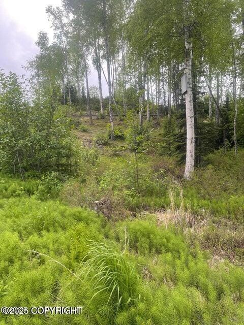 L22 W Call of The Wild Cir, Big Lake, AK 99654 - photo 7
