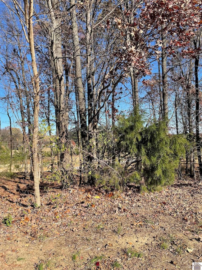 Lot 85 Forest Ridge Dr, Paducah, KY 42003 - photo 5
