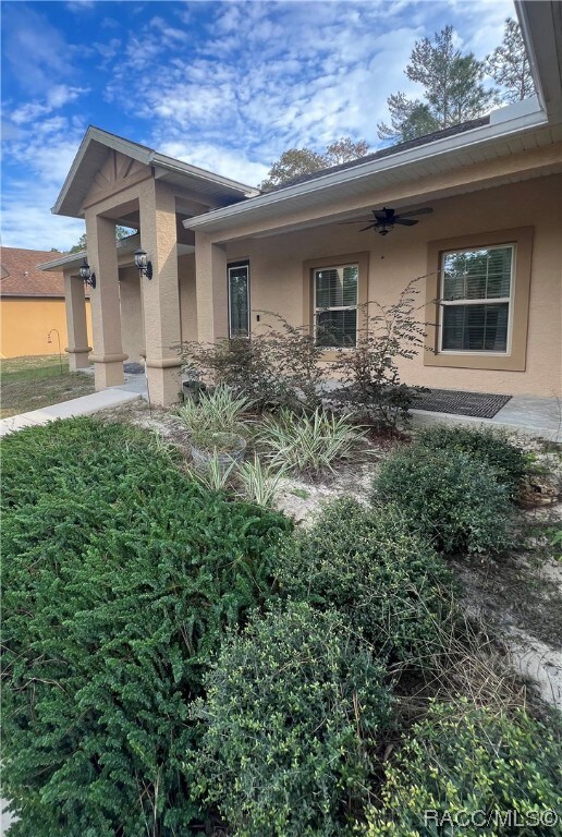 Front garden area
