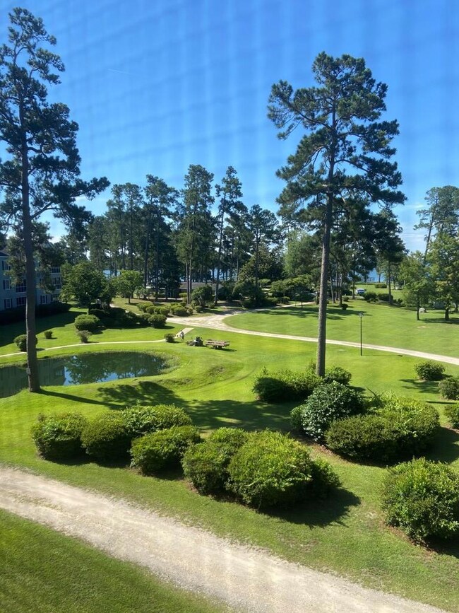 View Of From Window