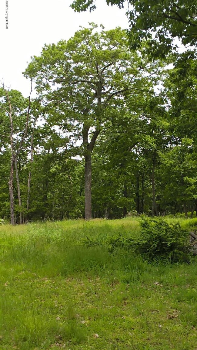 0 Laurel Dr, Swiftwater, PA 18370 - photo 3