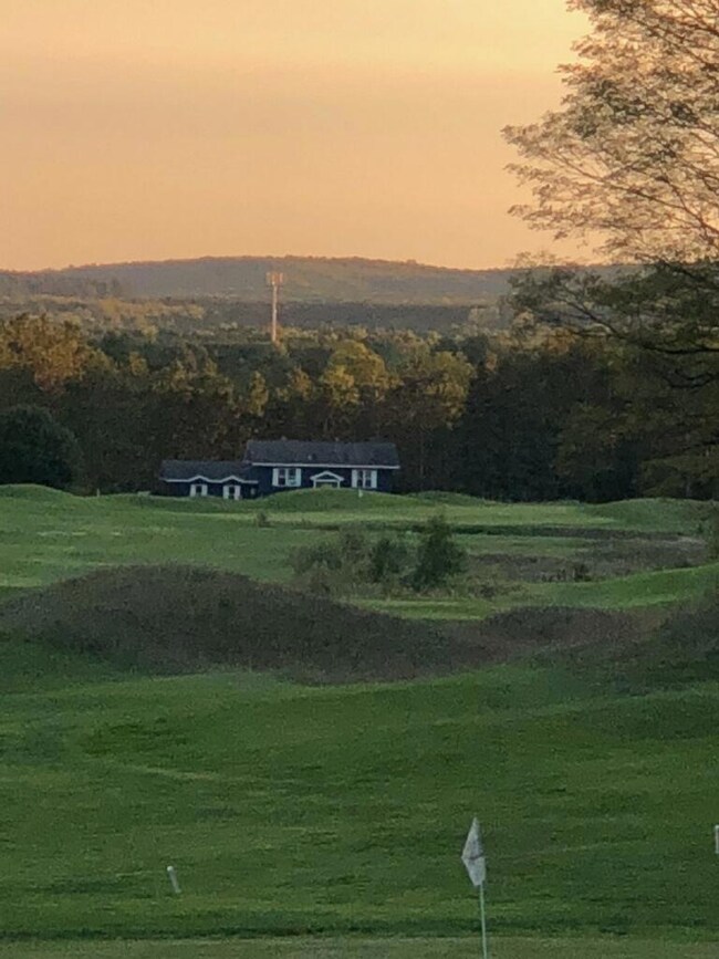 1647 Bear Paw Trail, Vanderbilt, MI 49795 - photo 2