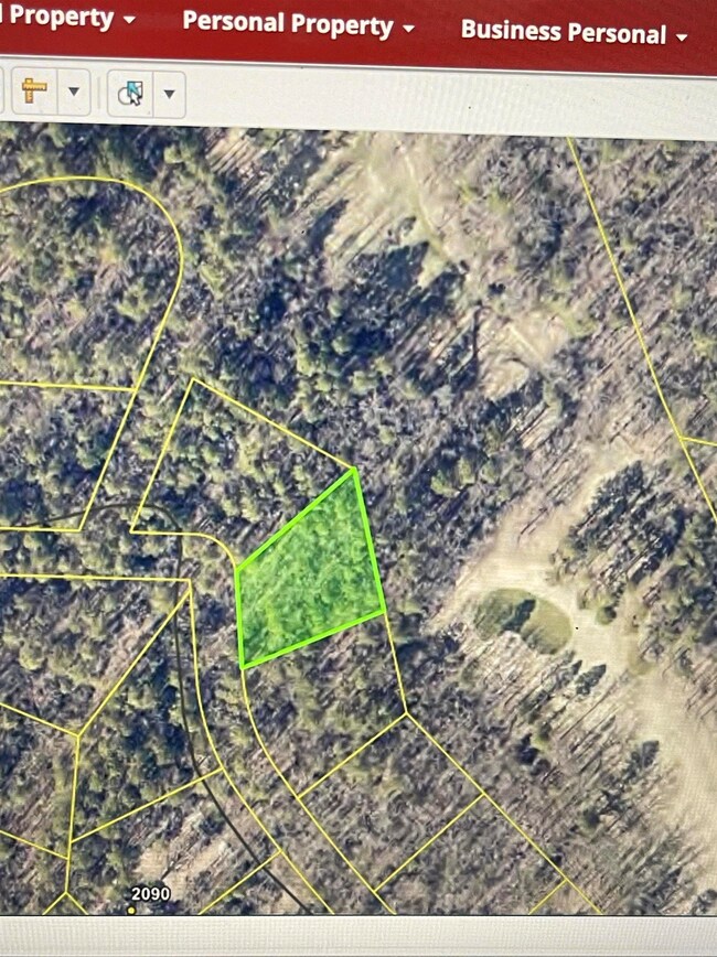 Lot 123 Tannenbaum Rd, Drasco, AR 72530 - photo 2