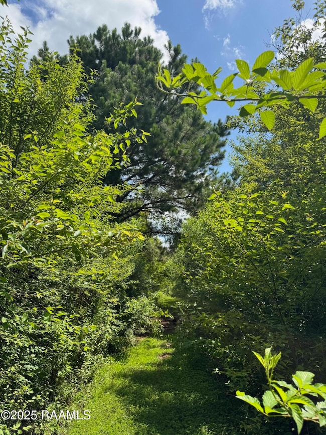 Tbd Frozard Rd unit 5, Arnaudville, LA 70512 - photo 6