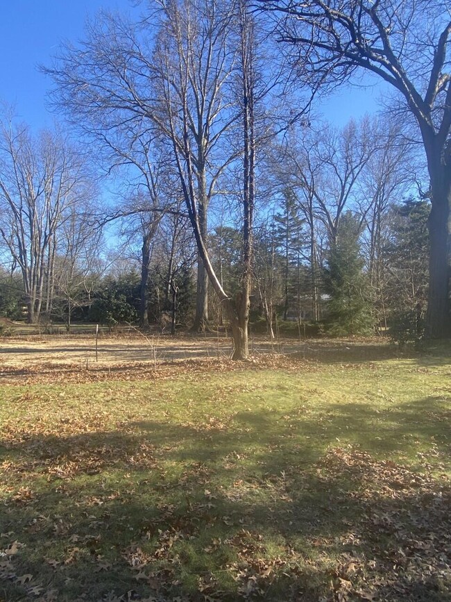 Lot View