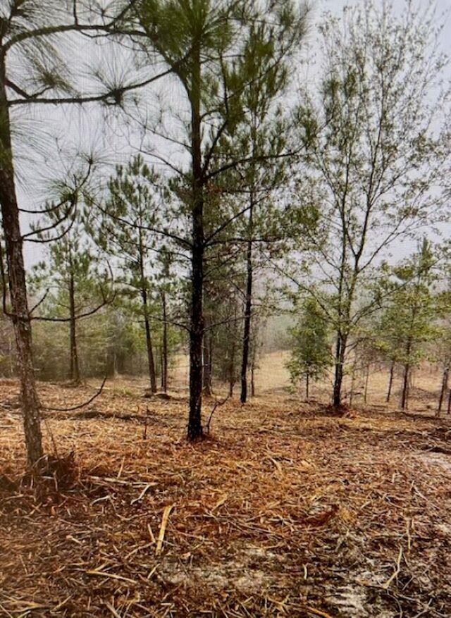 Tract D Marshall Mill Rd, Powersville, GA 31008 - photo 4