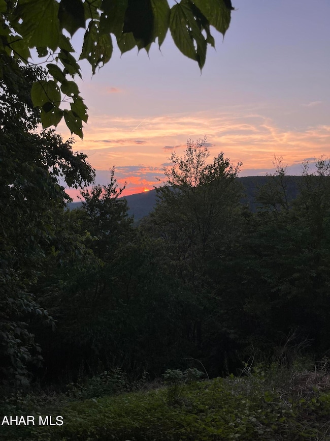 00 Timberman Rd unit Lot 74, Claysburg, PA 16625 - photo 2