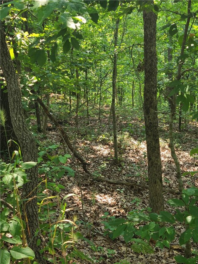 3 Chatburn Cir unit 1192138, Bella Vista, AR 72715 - photo 7