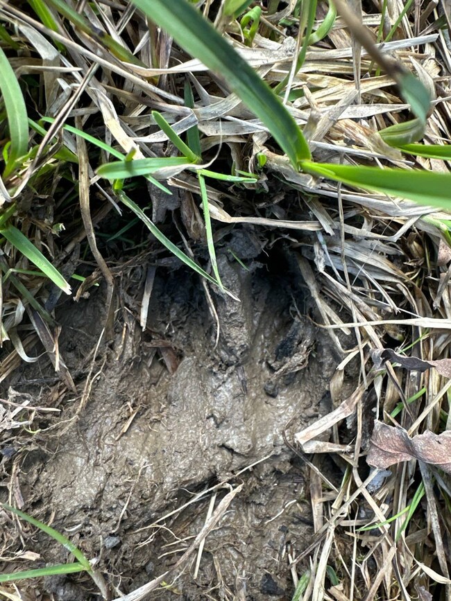 002WP Reservoir Rd, New Baltimore, NY 12192 - photo 6