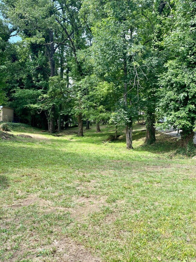 509 Appian Way, Chattanooga, TN 37415 - photo 4