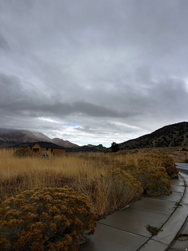 562 S 600 E unit 12, Nephi, UT 84648 - photo 3