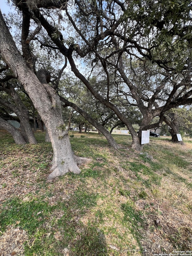 11811 Orsinger Ln, San Antonio, TX 78230 - photo 2