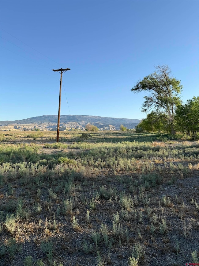 1475 and Tbd Highway 50, Delta, CO 81416 - photo 3