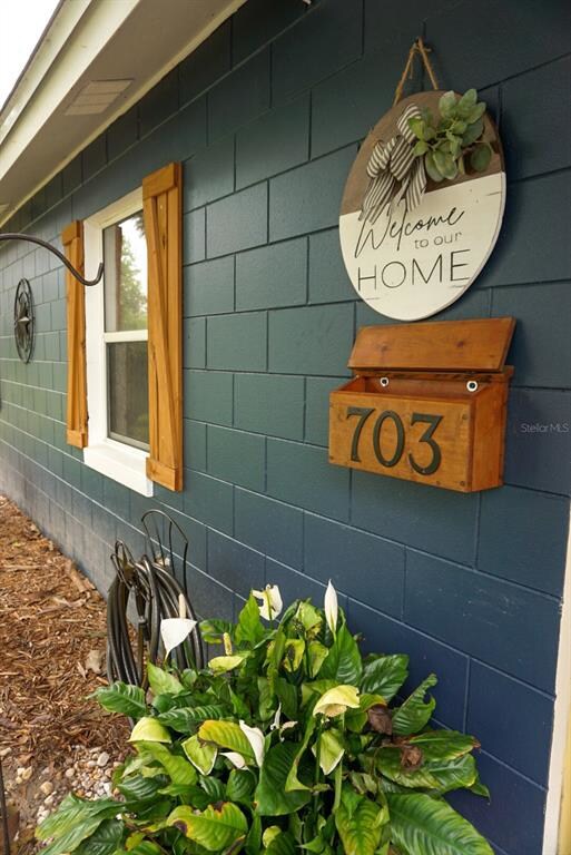 703 N Disston Ave, Tavares, FL 32778 - photo 5