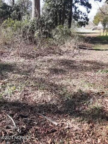 0 First St unit 100427666, Ayden, NC 28513 - photo 3