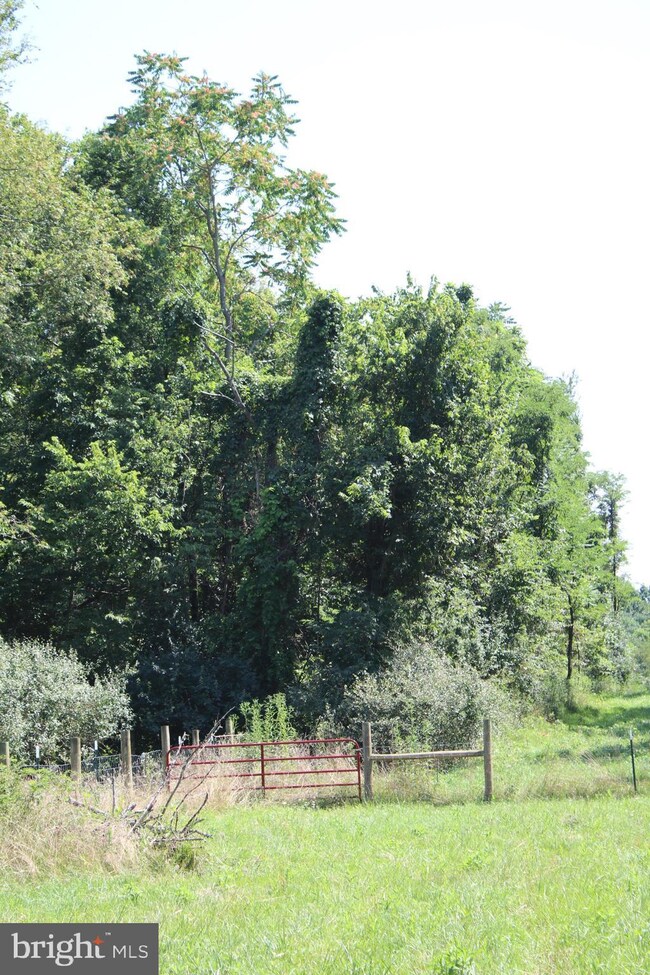 0 Goldmiller unit WVBE169734, Bunker Hill, WV 25413 - photo 7