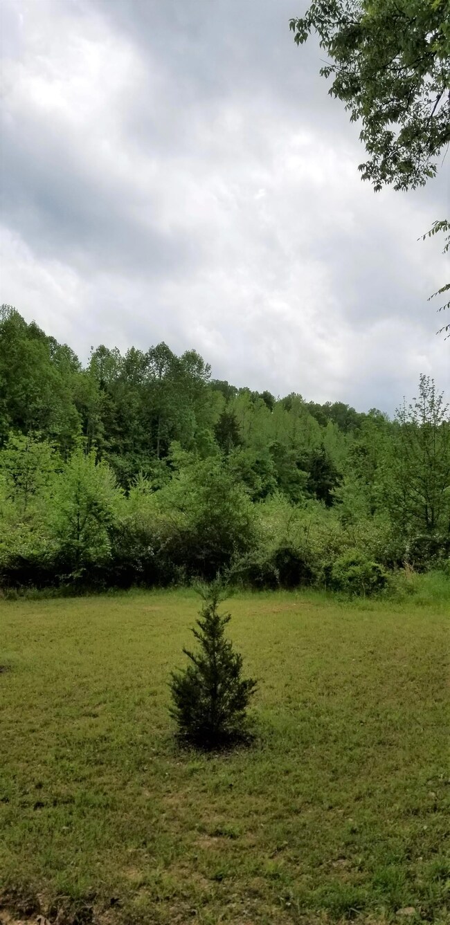 2079 Swindle Creek Rd, Linden, TN 37096 - photo 5