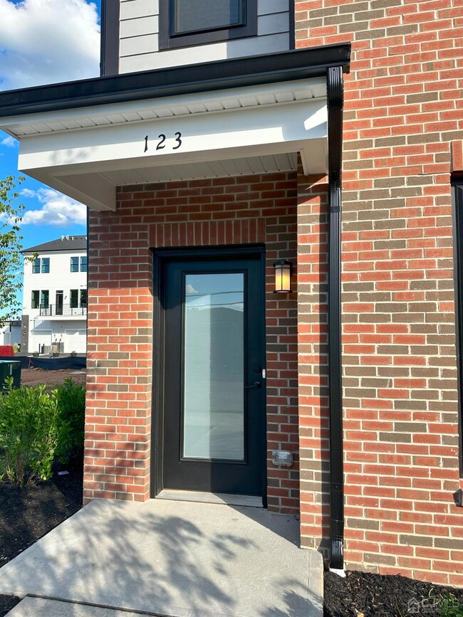 123 Lyla Ln, New Brunswick, NJ 08901 - photo 3