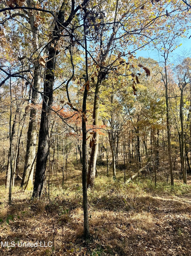 0 Laws Hill Rd unit 4133415, Holly Springs, MS 38635 - photo 3